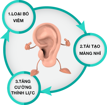 Phẫu thuật tạo hình màng nhĩ - Bước đột phá trong điều trị viêm tai giữa