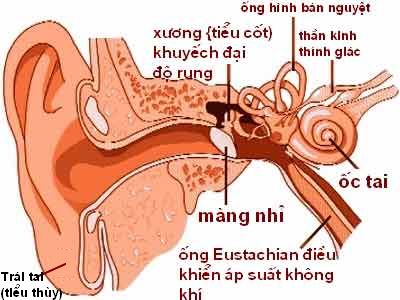 Dấu hiệu cảnh báo thủng màng nhĩ