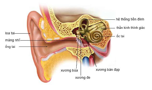 Cần phát hiện và điều trị bệnh điếc sớm