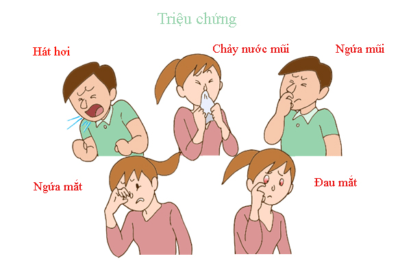 Bệnh viêm mũi dị ứng ở trẻ em