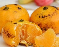 Loại quả giàu vitamin C chữa viêm họng cho bé hiệu quả